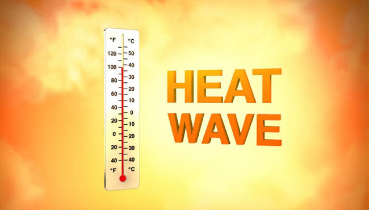Heat wave conditions prevail, 219 deaths reported in Telangana