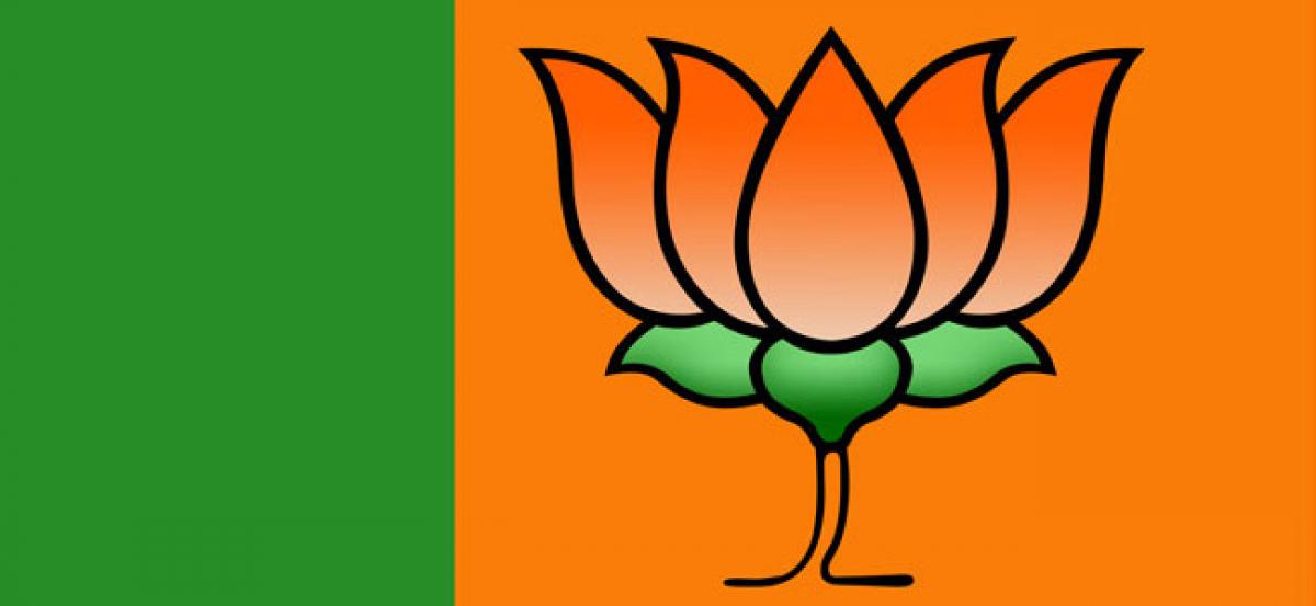 BJP leaders hit poll campaign, project schemes and development