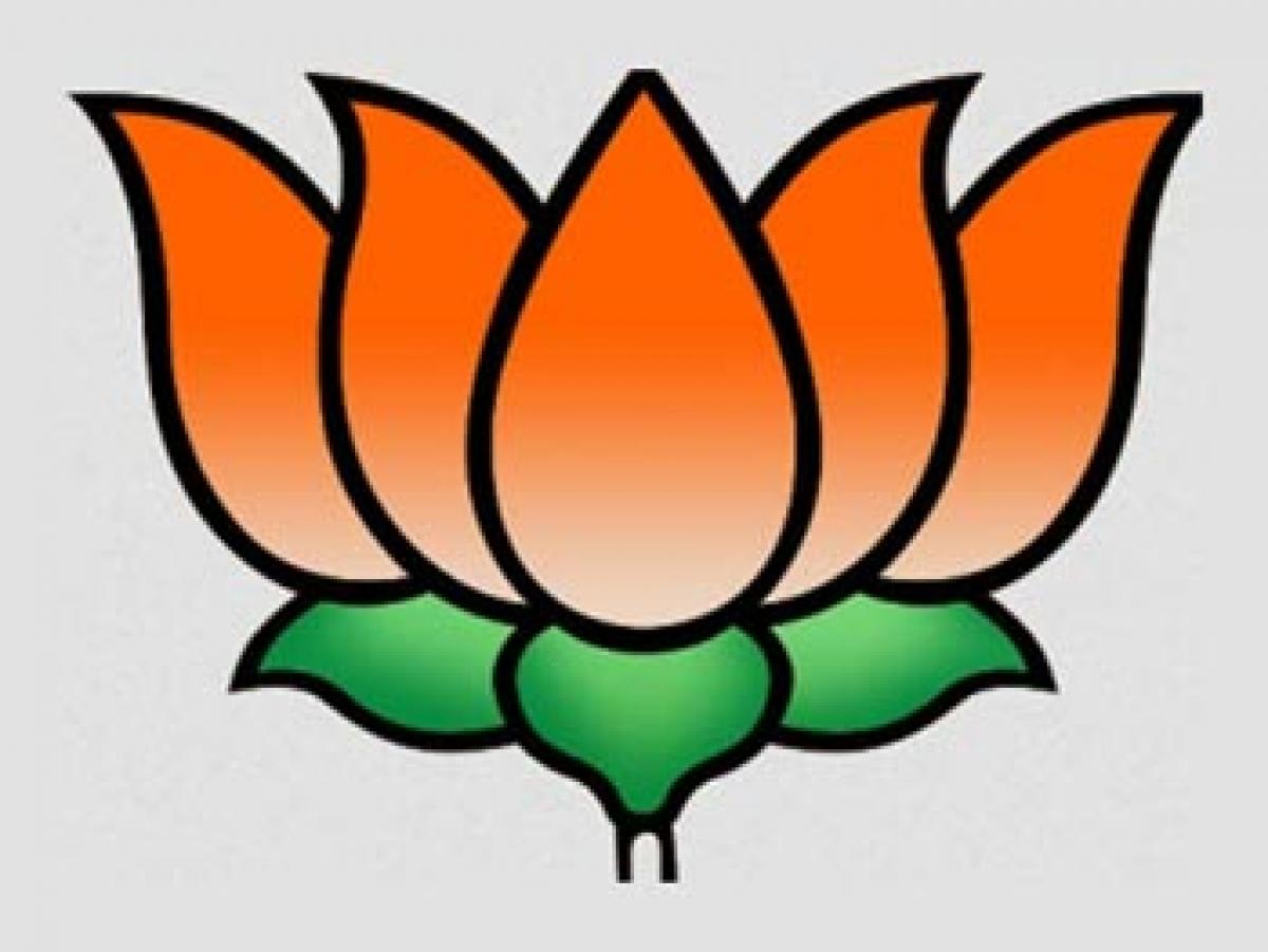 Kashmir to Kanyakumari: Alliance anxiety grips BJP