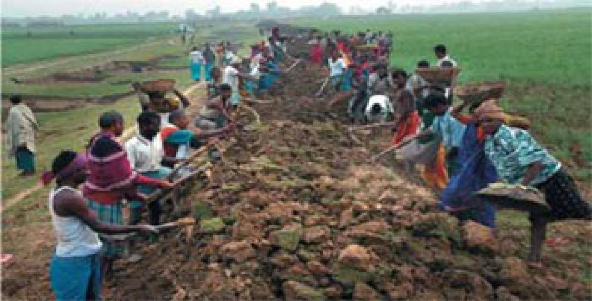 MGNREGA helps boost horticulture