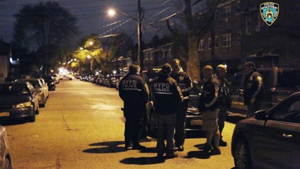 New York Police arrests criminal gangs for terrorising The Bronx