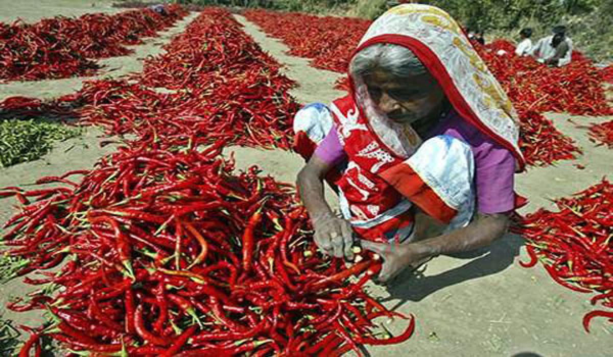 Govts apathetic even as farmers in tears