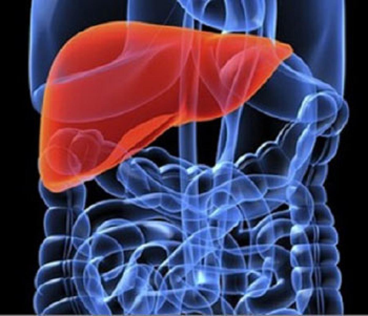 Effective therapies for liver damage come closer