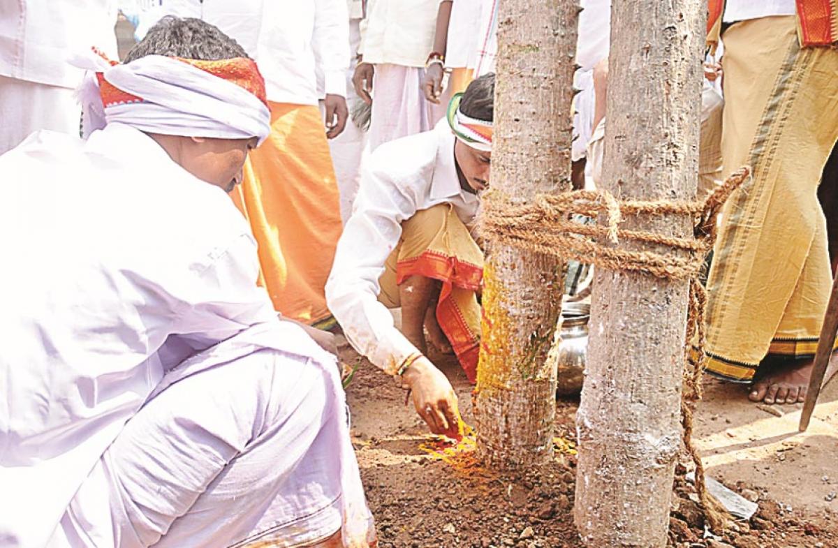 Manda Melige Panduga held marking Medaram Jatara