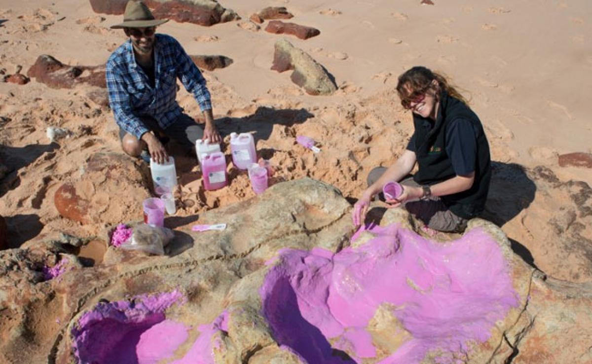Unparalleled Number Of Dinosaur Tracks Found In Australia