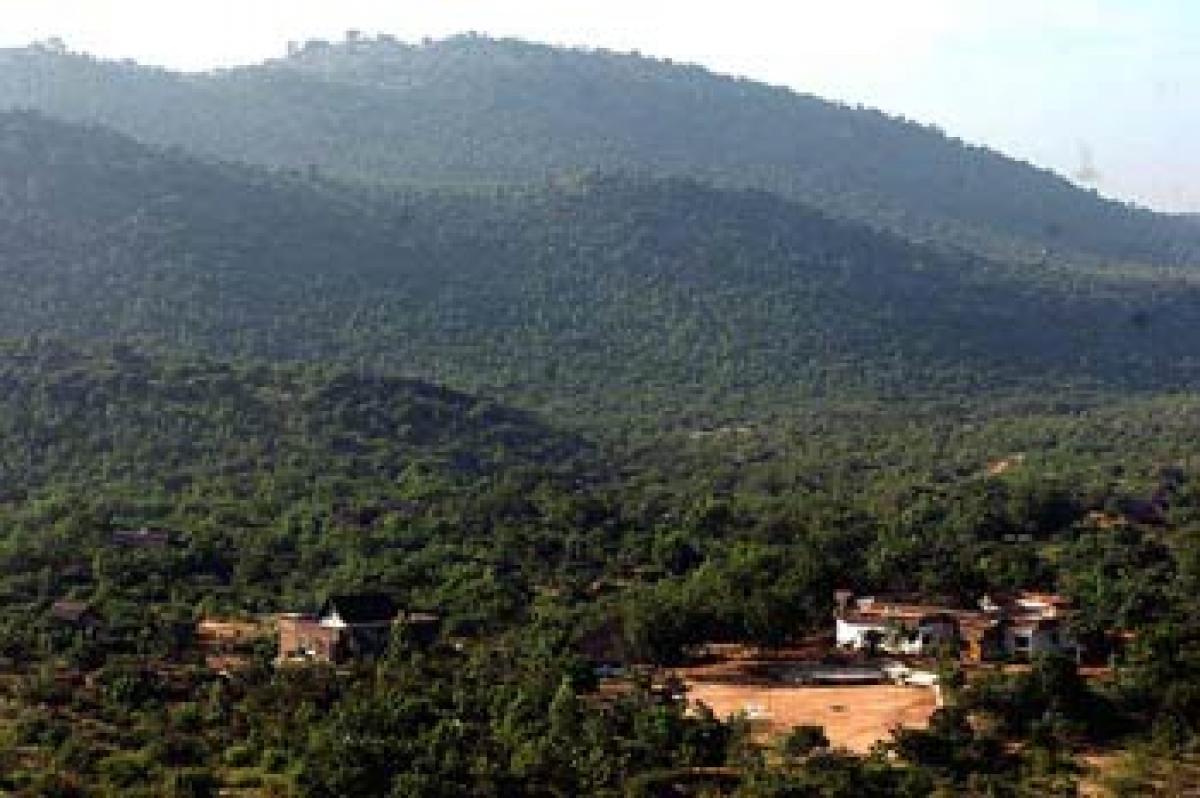 Gangulys transform barren lands into forest in Anantapur