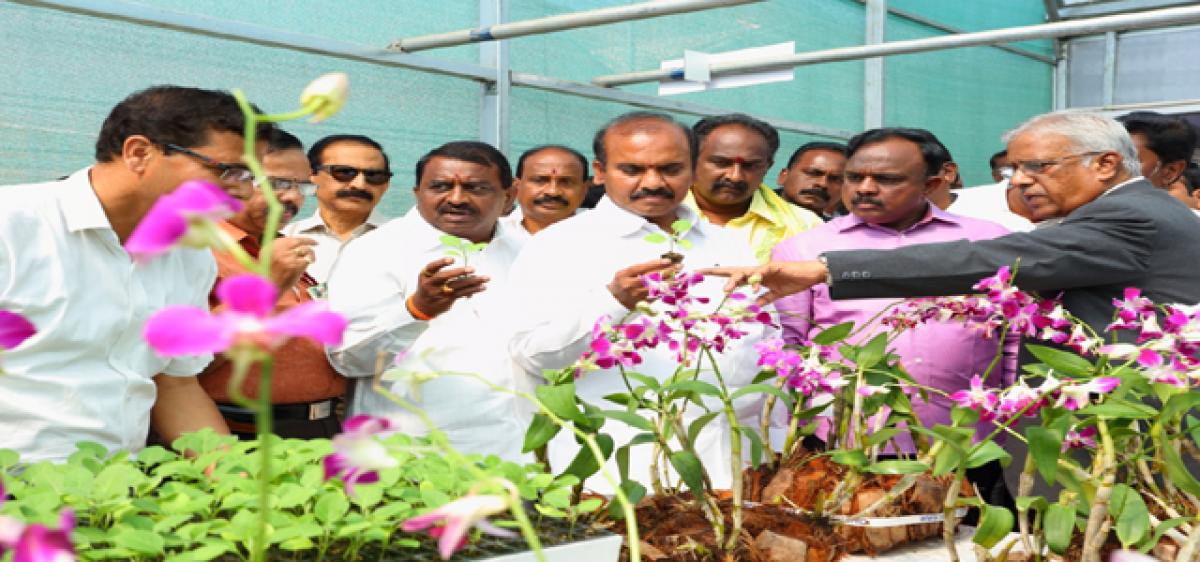 State accords top priority to agriculture, asserts Prathipati