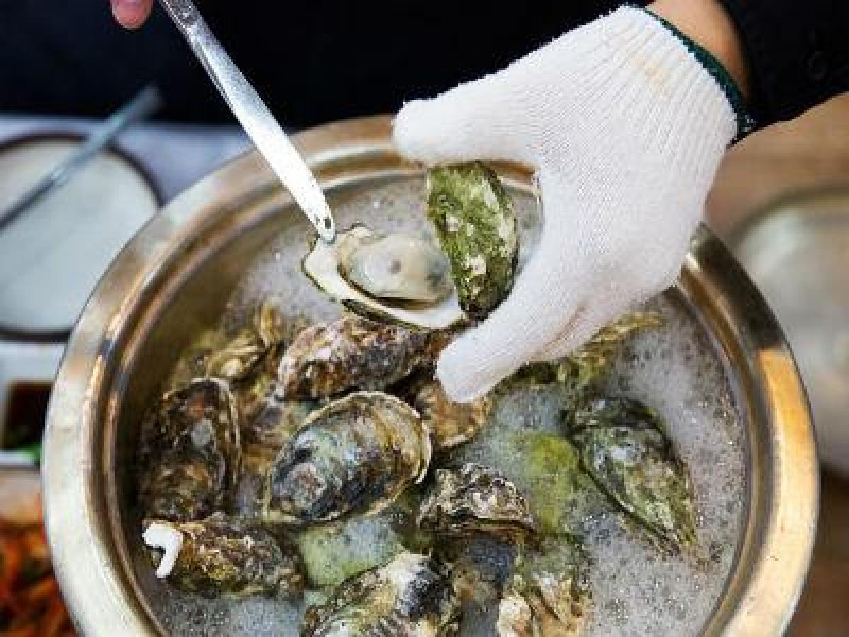 Edible salt-water oysters in Goa has Traces of cadmium, a chemical found in car batteries and used in the nuclear fission processes