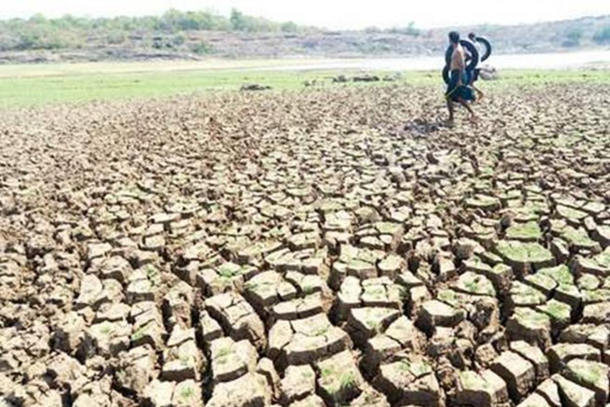 Central team arrives in Tamil Nadu to assess drought impact