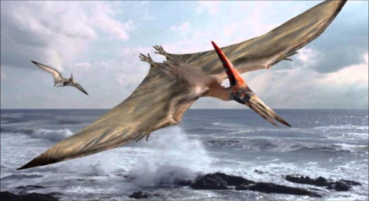 New species of pterosaur from early Jurassic period discovered