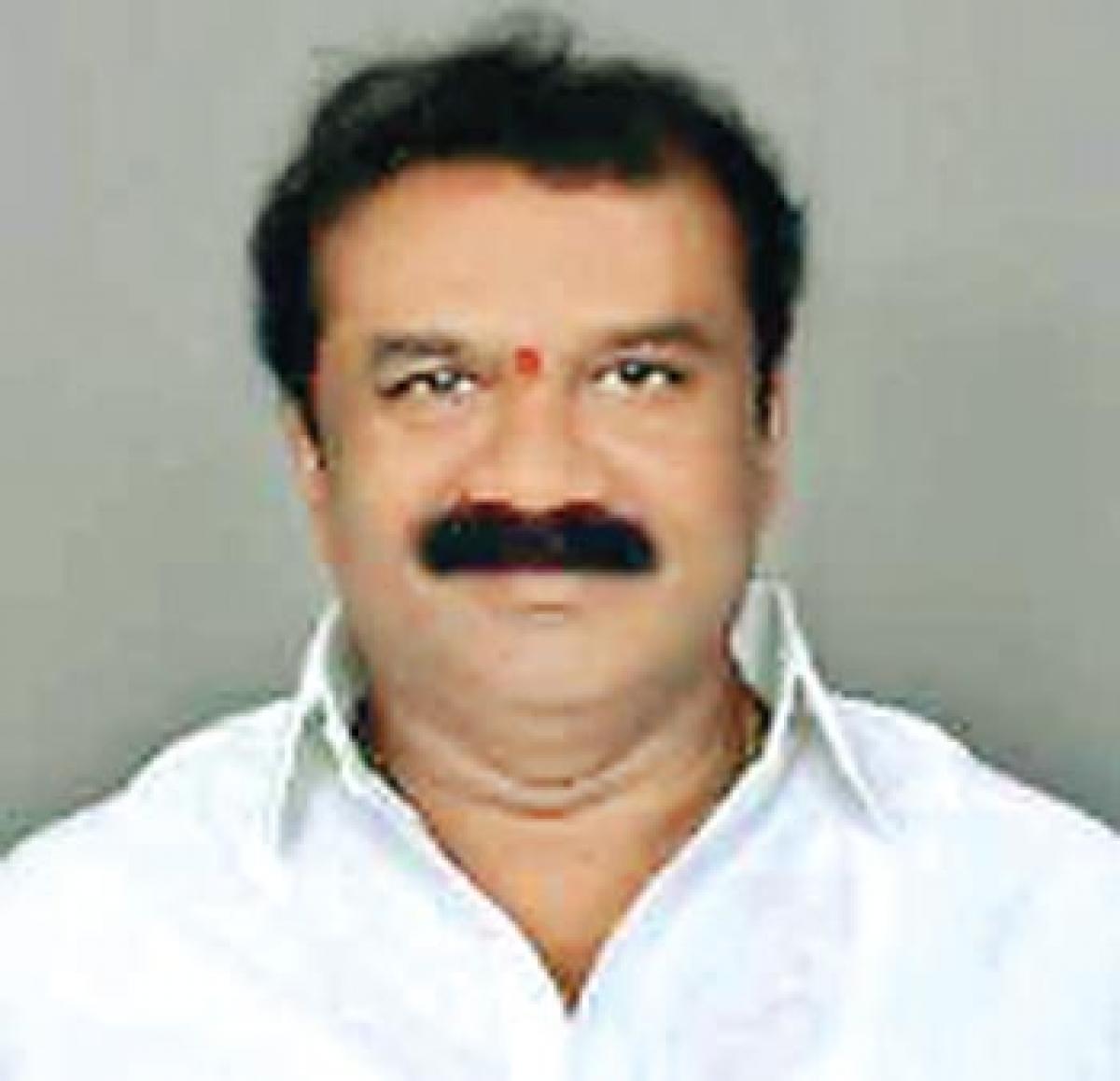 Support TRS for Hyd growth, says Talasani