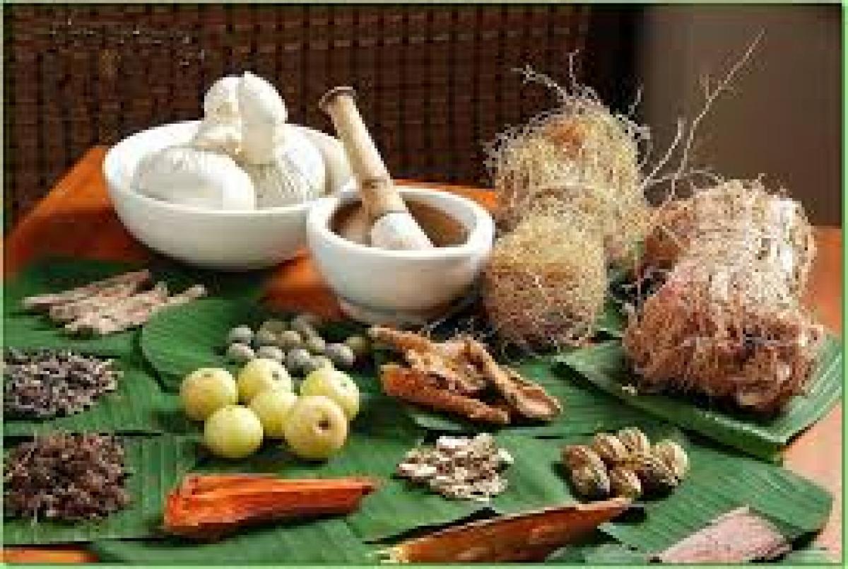 Ayurveda offers Indian researchers hope for new diabetic drug
