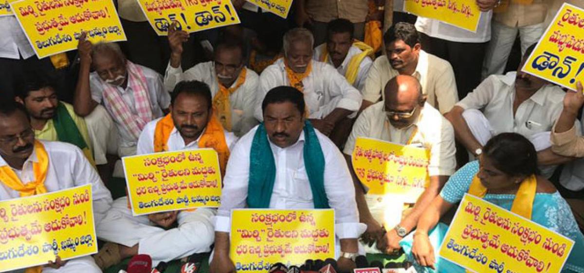 TDP demands relief to chilli farmers