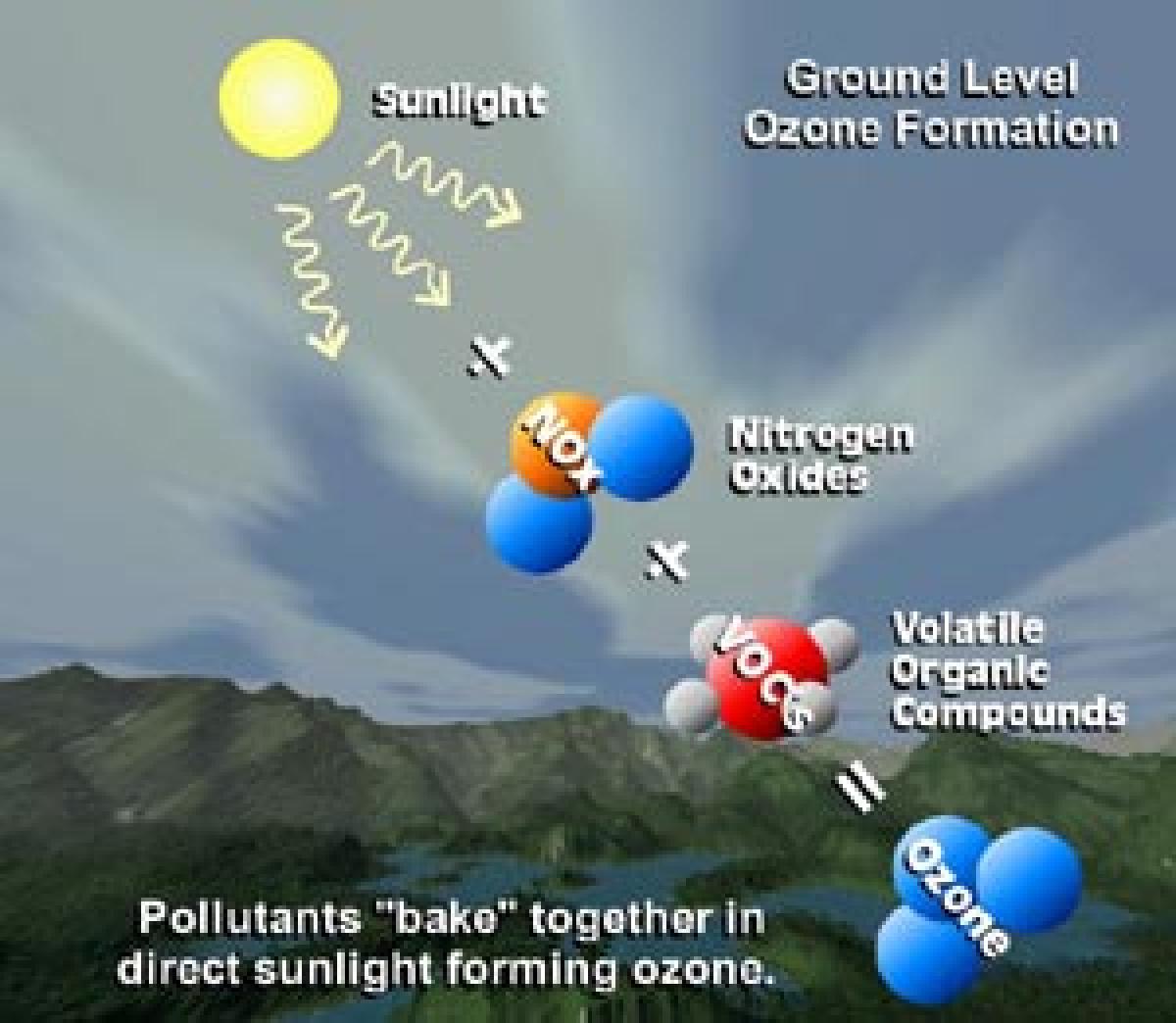 Mitigating ozone risk can raise farm output 