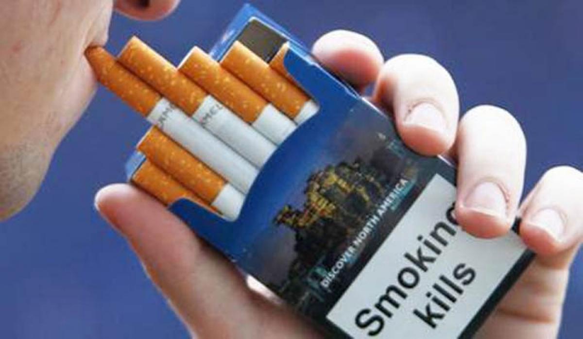 Smokeless tobacco ban