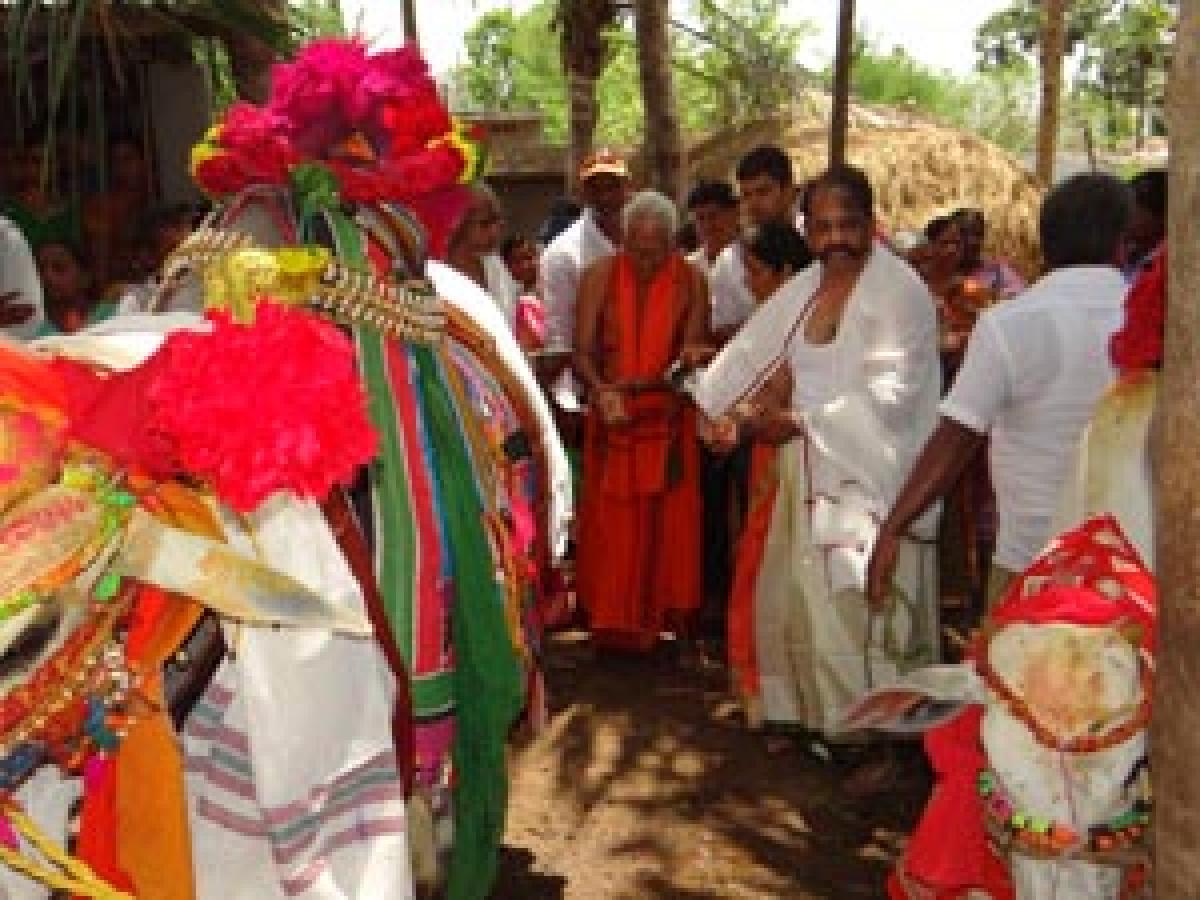 Bovine wedding performed in Kuderu village