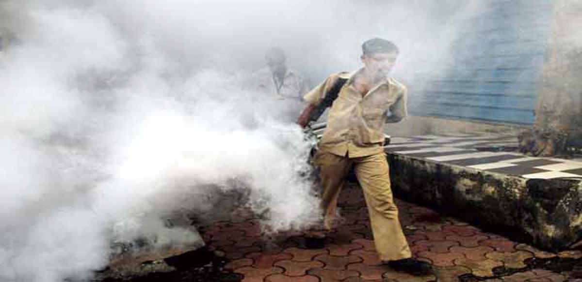 Mosquito menace: GHMC to launch week-long awareness drive