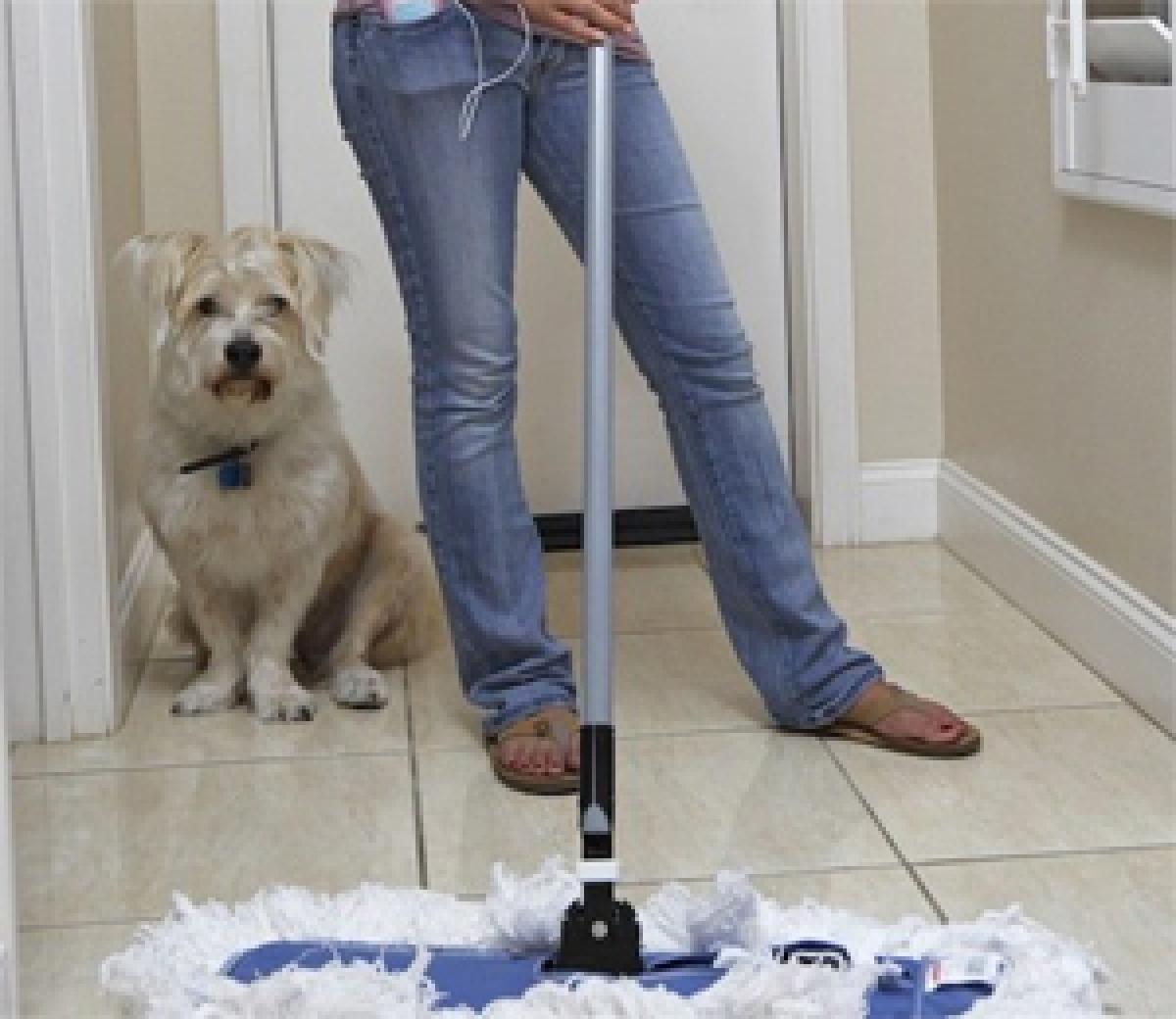 Pet owners, here are tips to keep your home clean