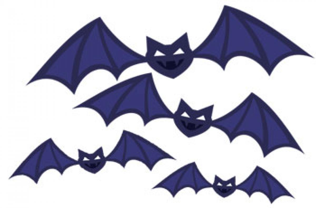 The cunning bats