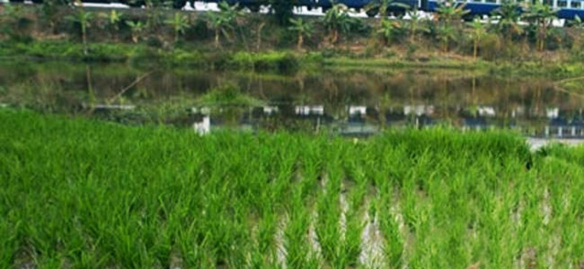 Bank stocks down for second day on crop loan waiver concerns