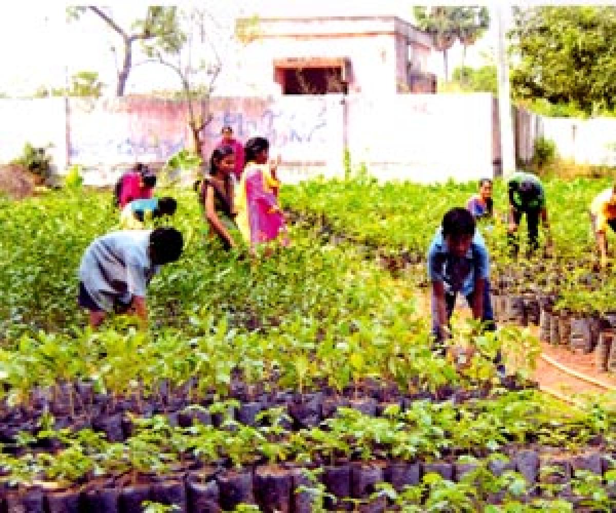 Govt ropes in students for plantation drive