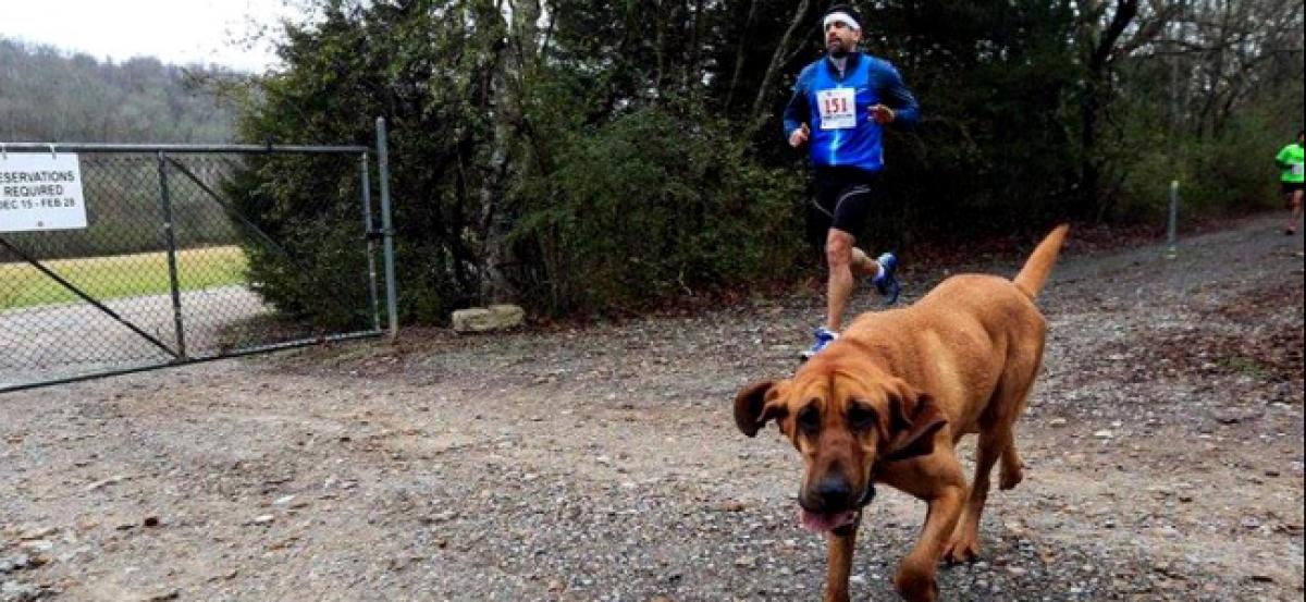 US Dog on pee break joins half-marathon for canines