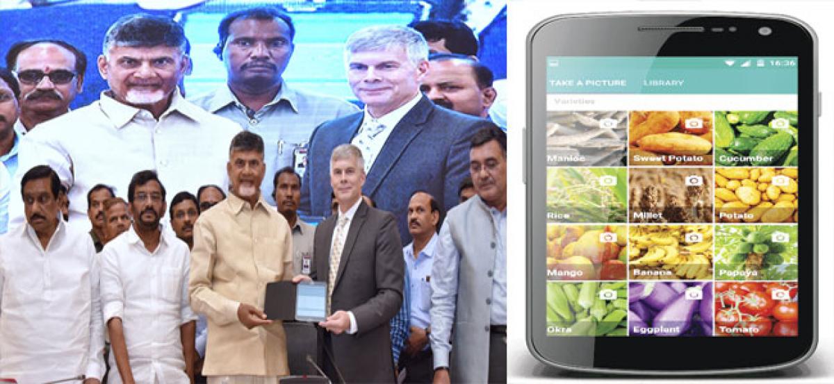 Mobile app to help farmers stave off crop losses