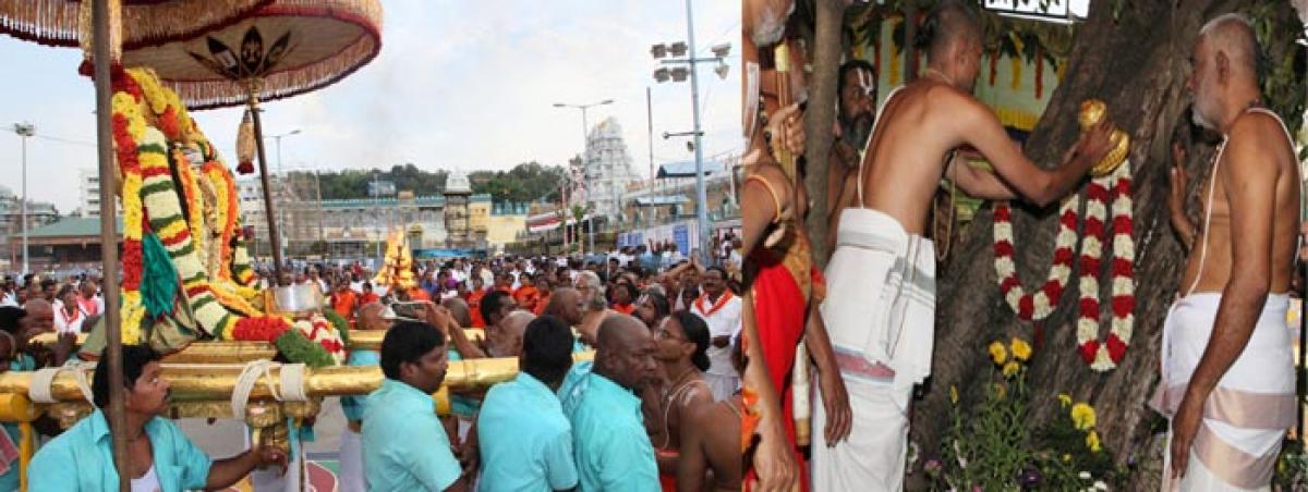 Bhaag Savari utsavam observed with pomp