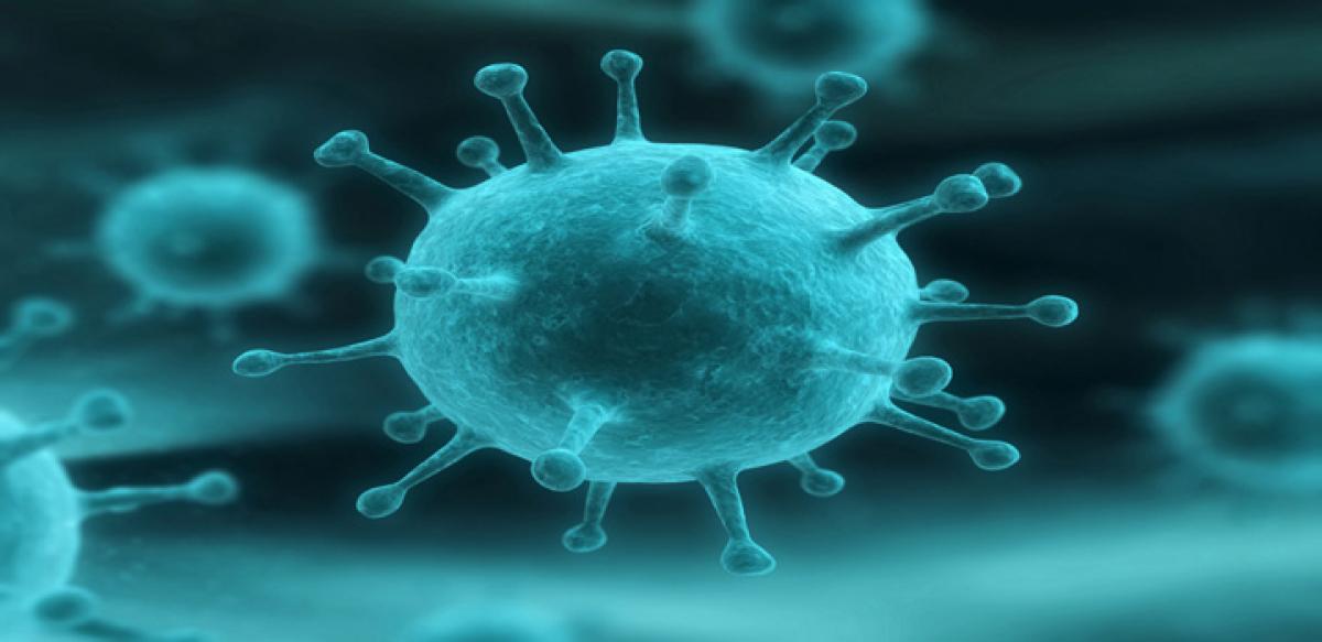 Influenza viruses can evade human immune system