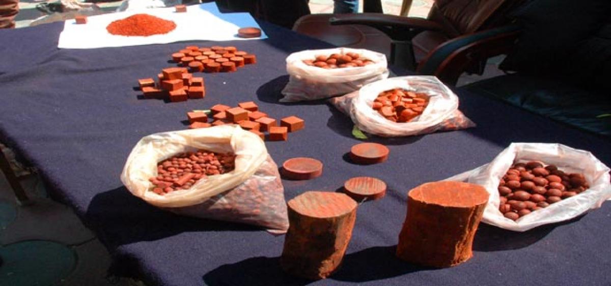 Six red sanders smugglers held