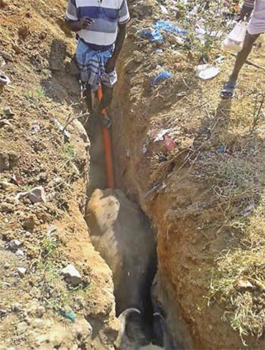 Buffalo falls into deep trench