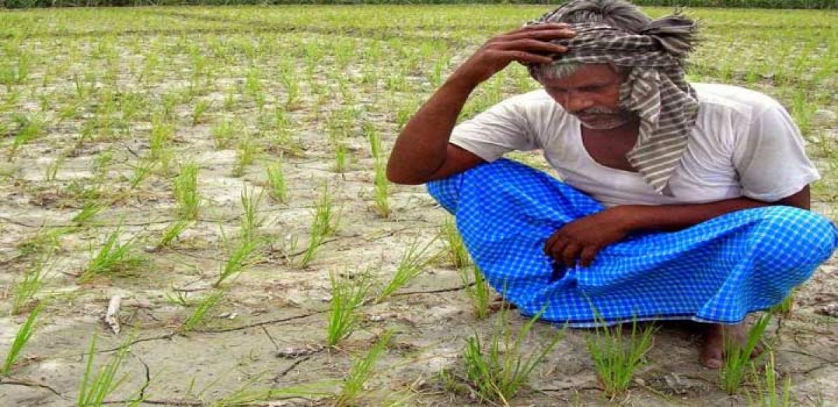 Agrarian crisis – When will govts ever learn?