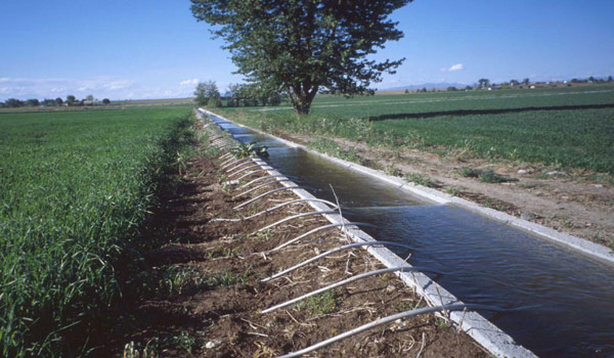 Mixed response to protective irrigation offer of government