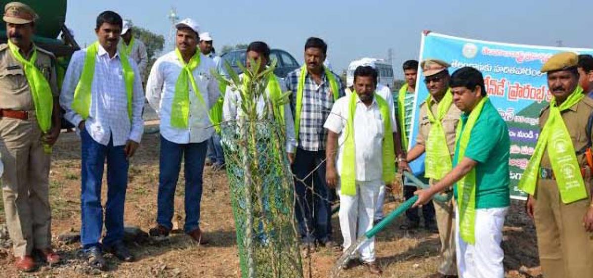 Green Day launched in Suryapet