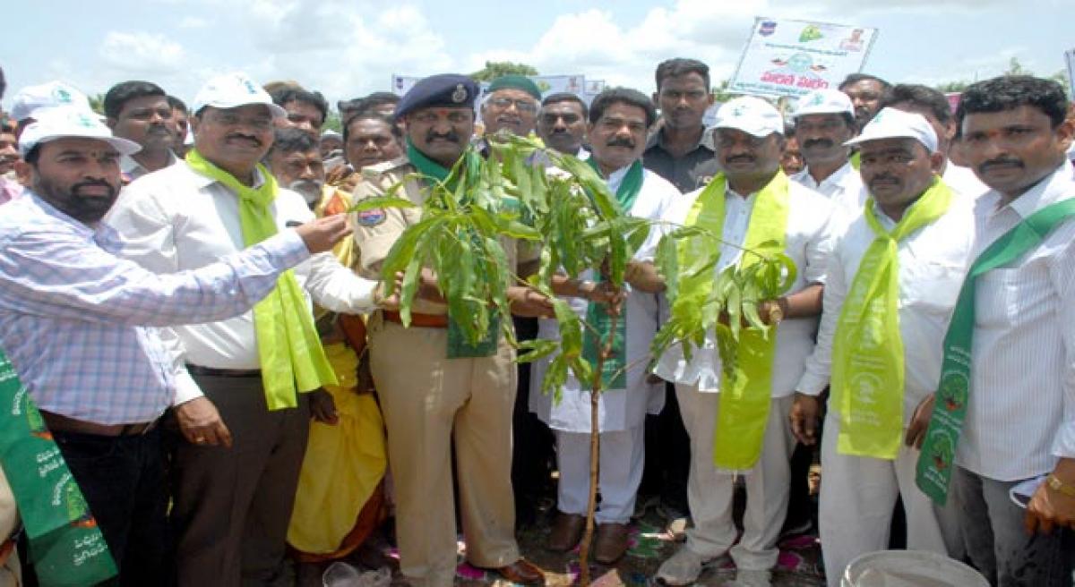 Atmakur police to plant 25k saplings at Akkampet.