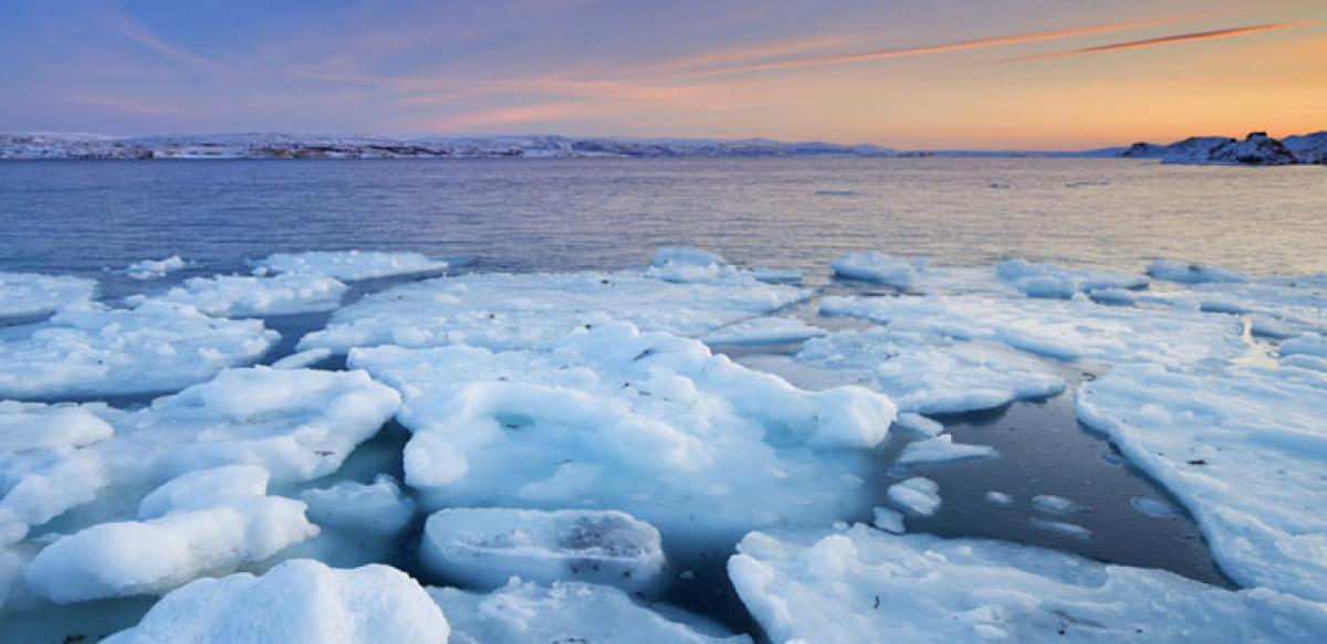 Moonlight drives marine creatures in Arctic winter