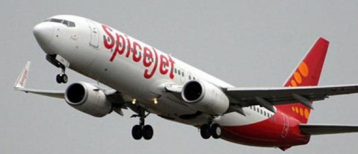 SpiceJet to operate eight new flights from November 15