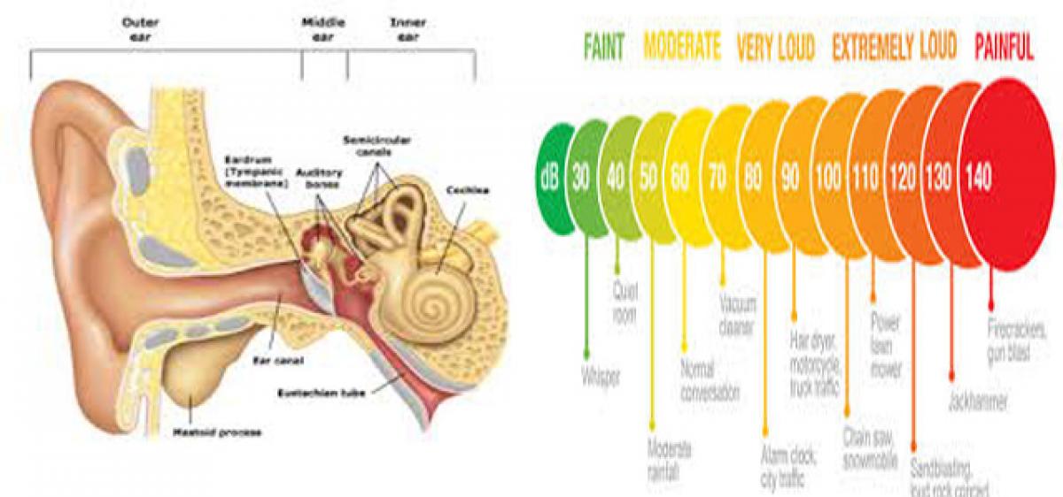 Noise Induced Hearing Loss & us