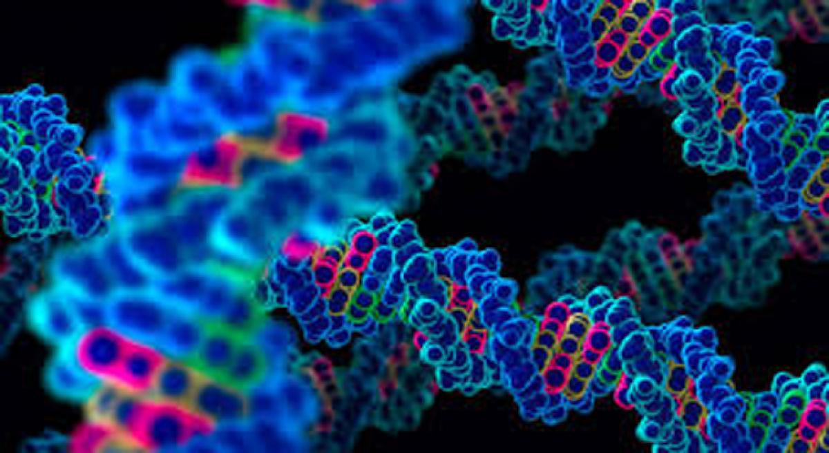Genes linked to intellectual disability identified