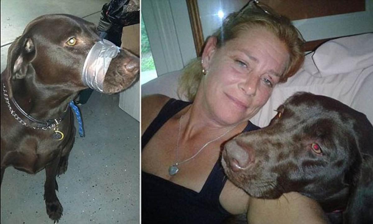 US woman in trouble for duct tapes around dogs mouth for barking