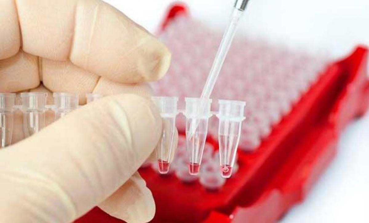 New DNA nanomachine for rapid detection of HIV