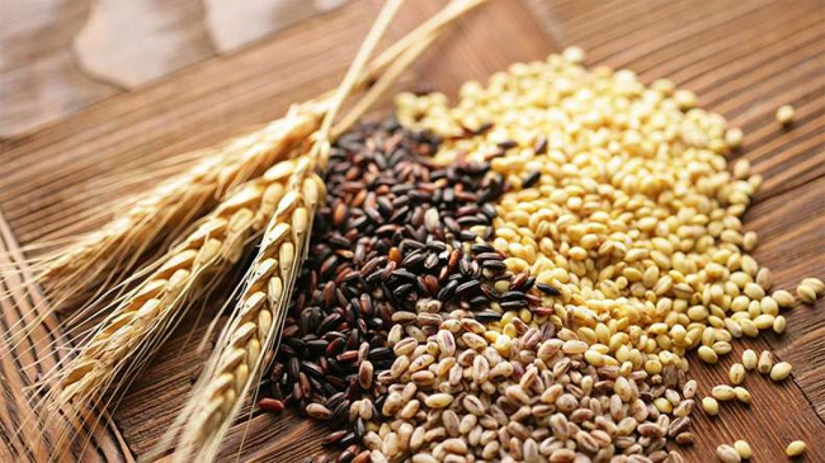 Cut premature death risk by eating more whole grains