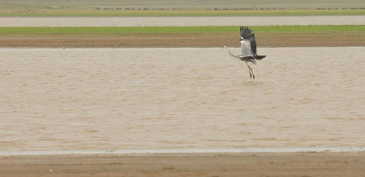 Harish proposes 50-crore plan to save Gandipet Lake