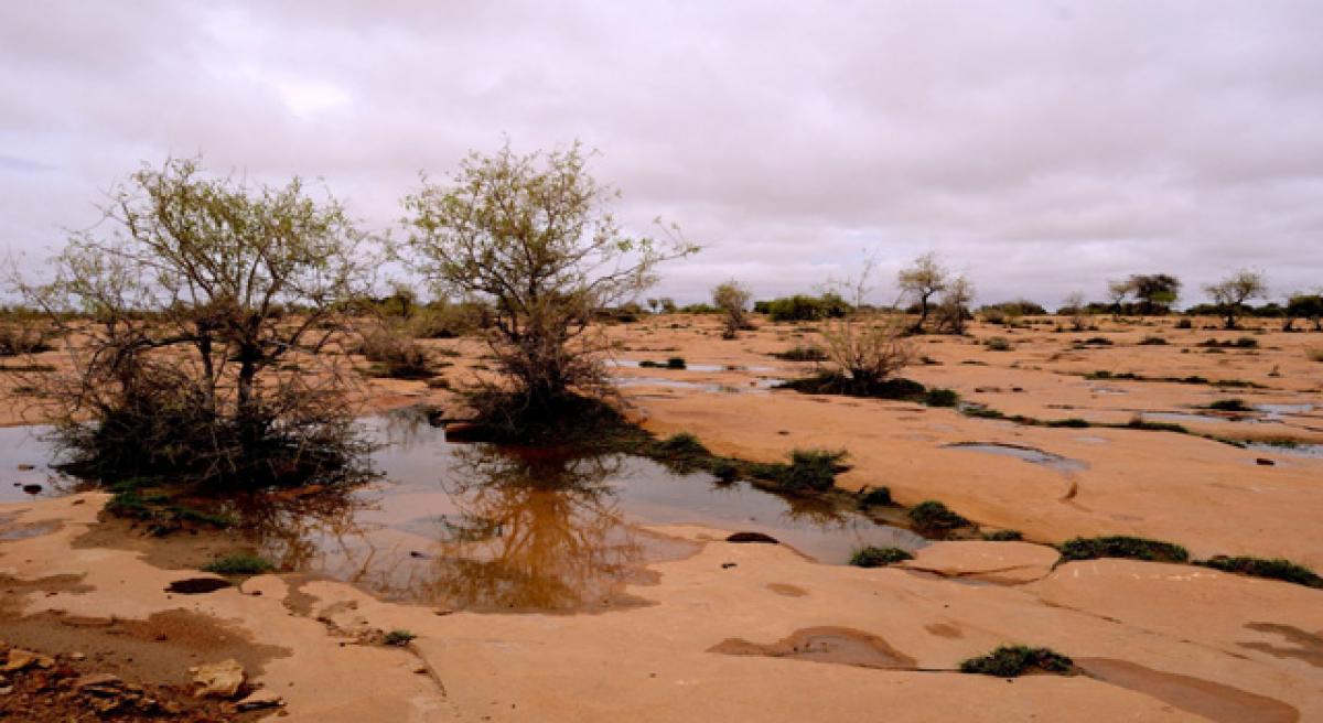 Villagers create oasis in desert terrain through water harvesting