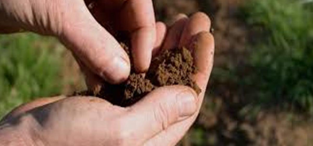 Farmers told to get soil tested