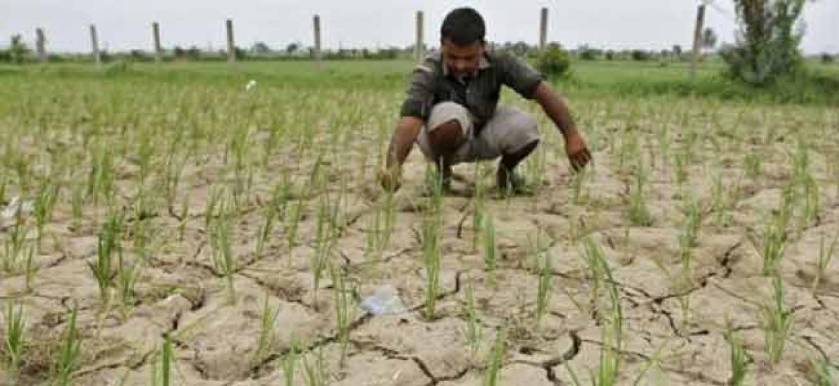 Centre to tackle unpredictability of weather and price fluctuations in farm sector