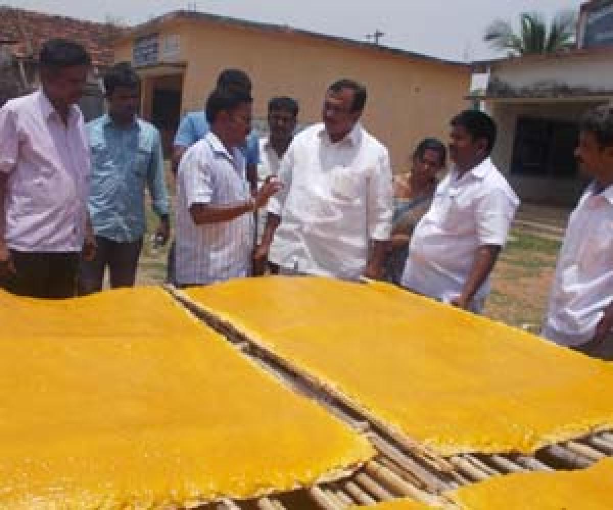 MLC, farmers visit mango jelly units