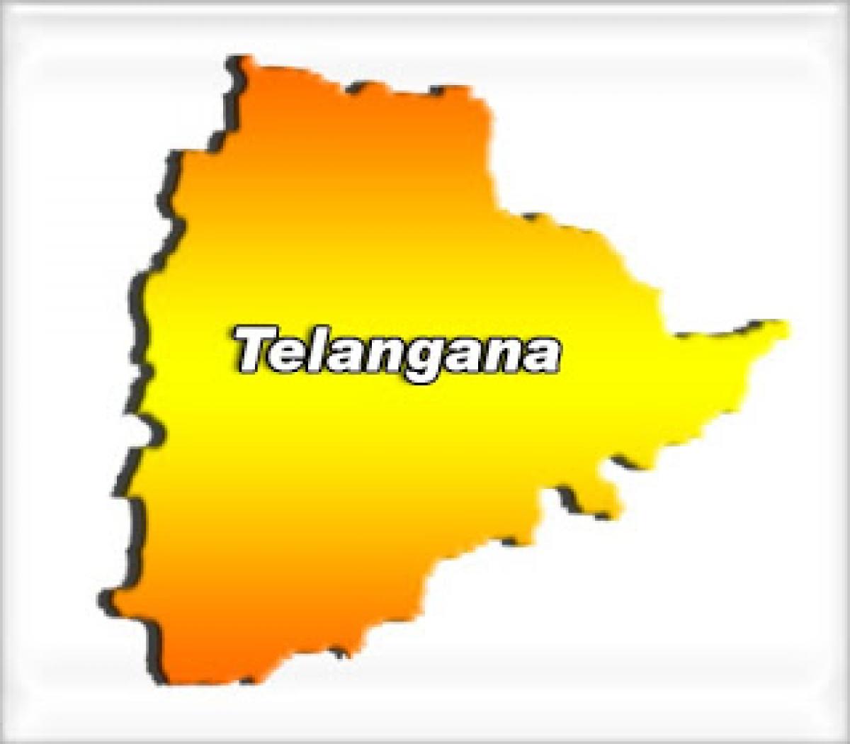 Telangana to announce new districts