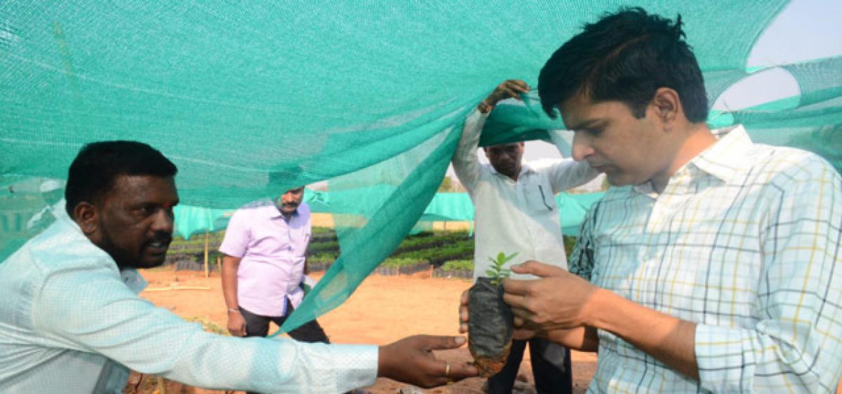 Mana Telangana Mana Vyavasayam launched in Sircilla