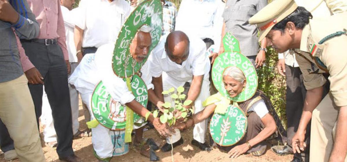 Jogu Ramanna calls for increasing green cover